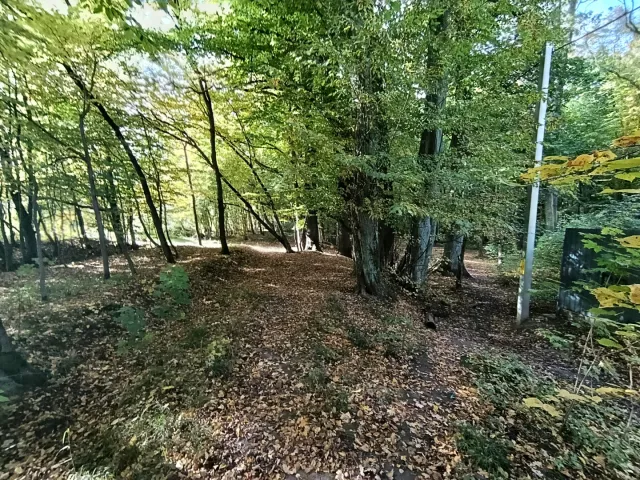 Участок 9 соток Гурьевск г. Дворцовая ул. (фото 2 из 8)