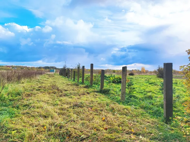 Участок 10 соток  Моховое п. Дорожная ул.