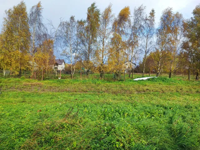 Участок 10 соток  Моховое п. Дорожная ул.