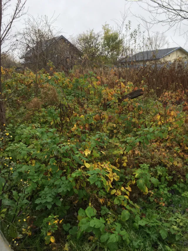 Участок 4 сотки Радуга тер. СНТ 18-я линия ул., 5