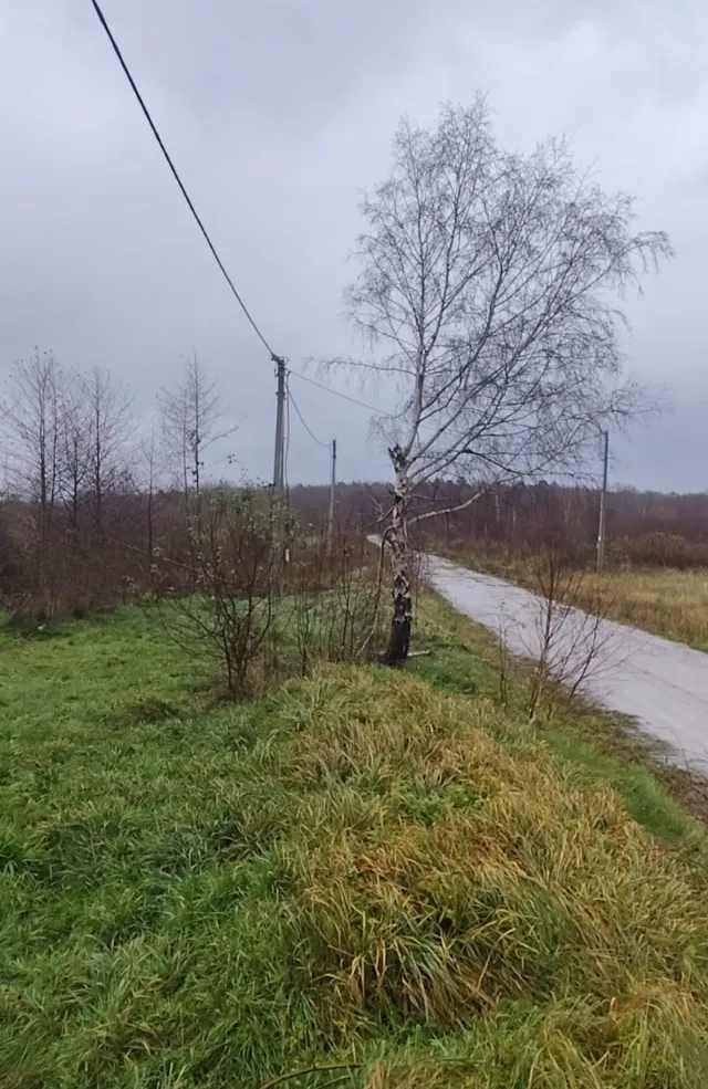 Участок 7 соток Лесное п. Янтарная ул.