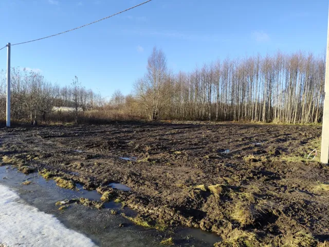 Участок 7 соток Лесное п. Янтарная ул.