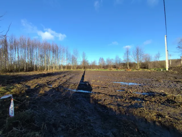 Участок 7 соток Лесное п. Янтарная ул.