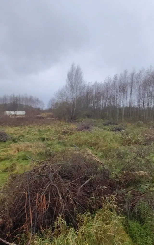 Участок 7 соток Лесное п. Янтарная ул.