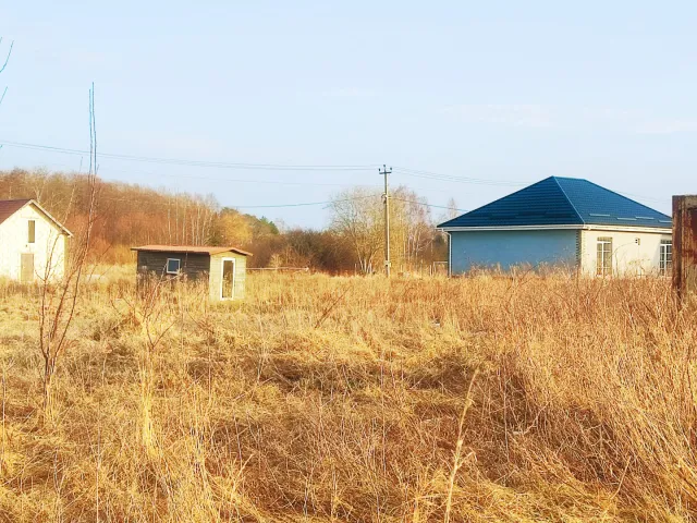 Участок 6 соток СНТ Сосновка-1 снт  (фото 7 из 11)