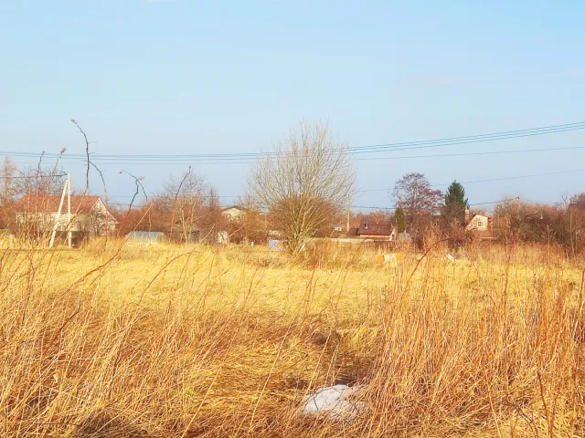 Участок 6 соток СНТ Сосновка-1 снт  (фото 6 из 11)