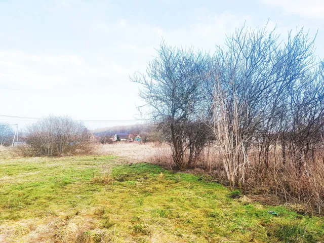 Участок 6 соток СНТ Сосновка-1 снт  (фото 1 из 11)