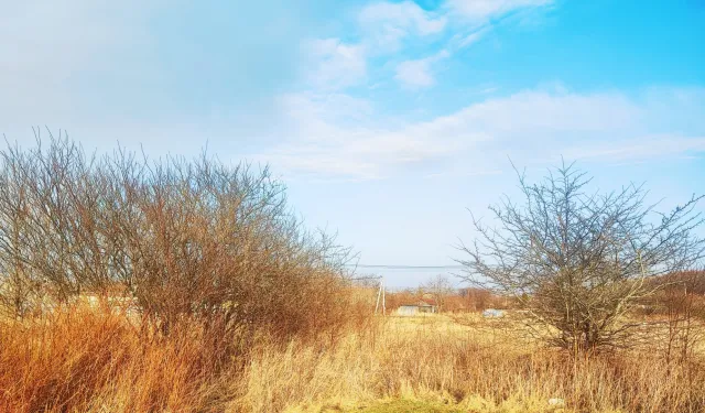 Участок 6 соток СНТ Сосновка-1 снт  (фото 5 из 11)