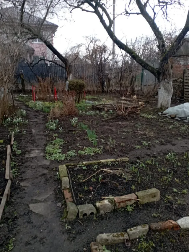 Участок 7 соток Калининград г. Тимирязева ул., 4 (фото 3 из 5)