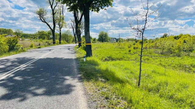 Участок 6.5 соток Полевое п.  (фото 5 из 5)