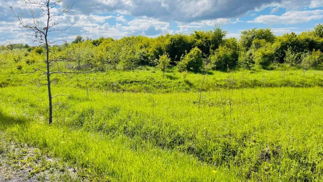 Участок 6.5 соток Полевое п.  (фото 2 из 5)