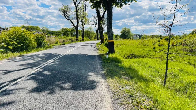 Участок 6.5 соток Полевое п.  (фото 3 из 5)