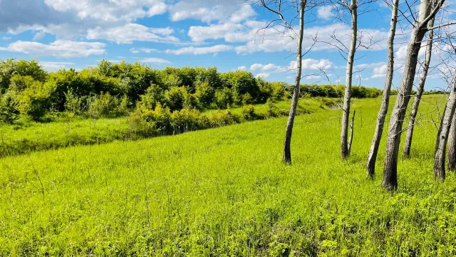 Участок 6.5 соток Полевое п.  (фото 4 из 5)