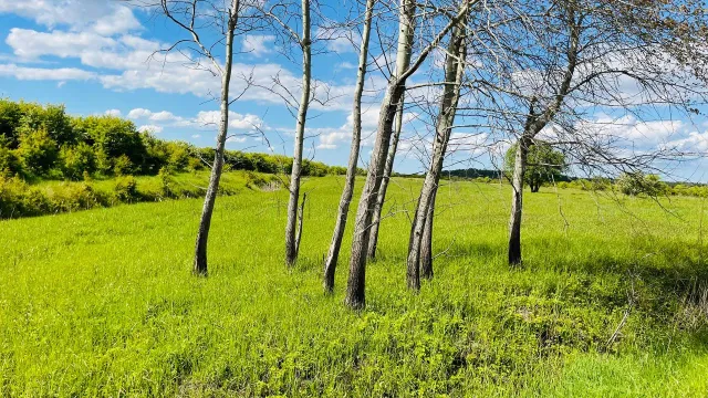 Участок 6.5 соток Полевое п.  (фото 1 из 5)