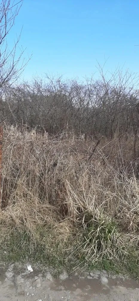 Участок 4.44 сотки Радуга тер. СНТ  (фото 2 из 4)