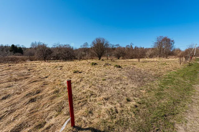 Участок 9.45 соток Зеленоградск г.  (фото 5 из 8)