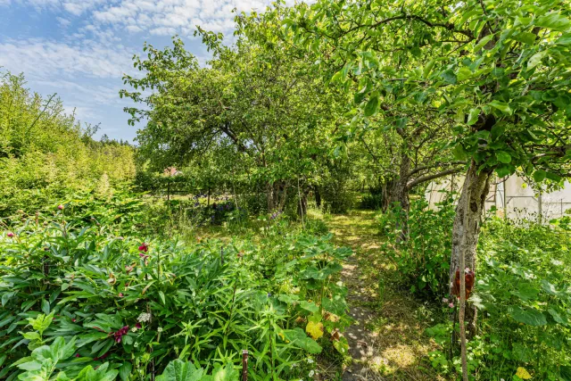 Участок 6 соток Зеленоградск г.  (фото 10 из 26)