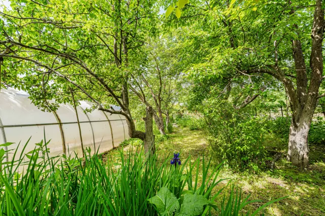 Участок 6 соток Зеленоградск г.  (фото 7 из 26)