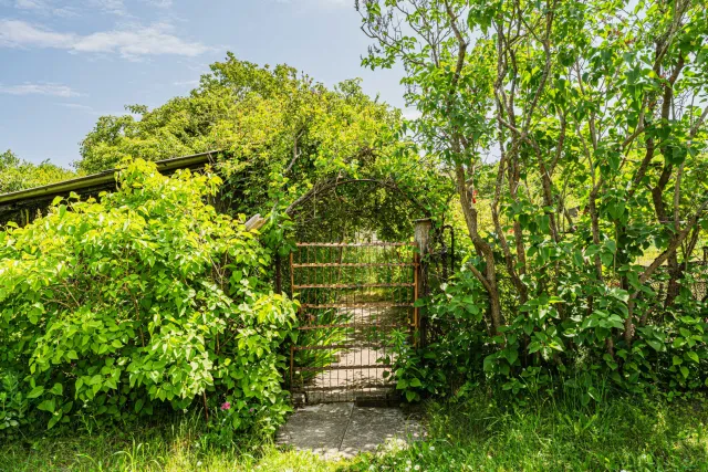 Участок 6 соток Зеленоградск г.  (фото 13 из 26)