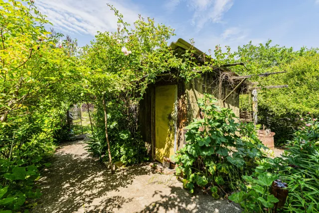 Участок 6 соток Зеленоградск г.  (фото 11 из 26)