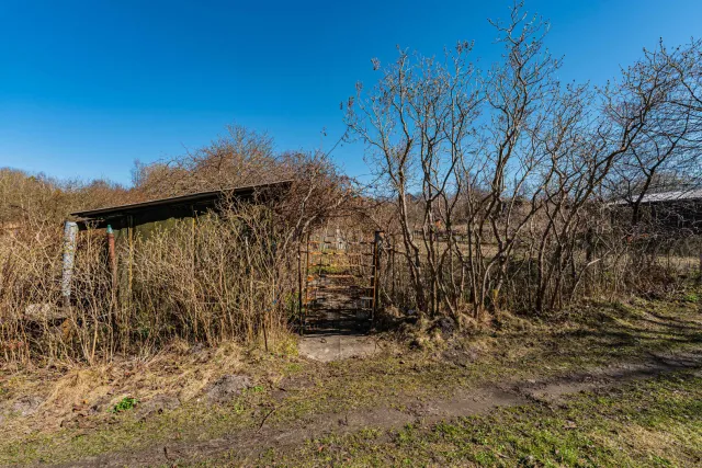 Участок 6 соток Зеленоградск г.  (фото 19 из 26)