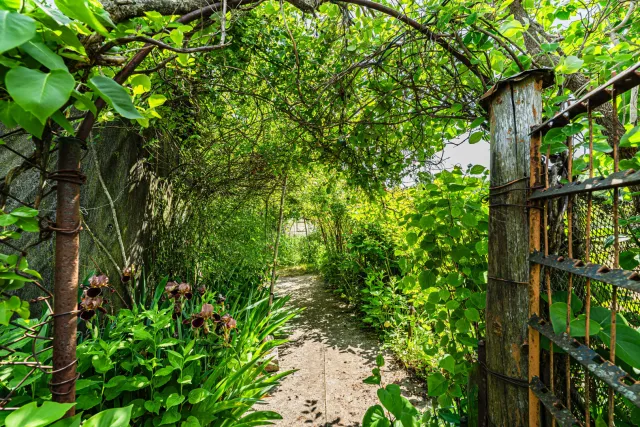 Участок 6 соток Зеленоградск г.  (фото 12 из 26)