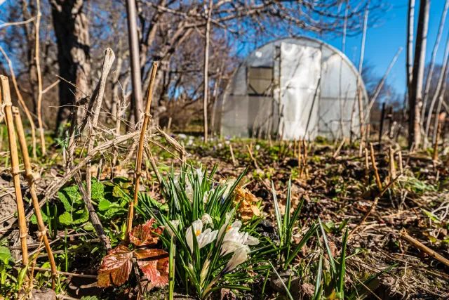 Участок 6 соток Зеленоградск г.  (фото 20 из 26)