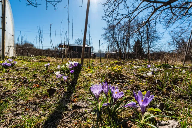 Участок 6 соток Зеленоградск г.  (фото 22 из 26)