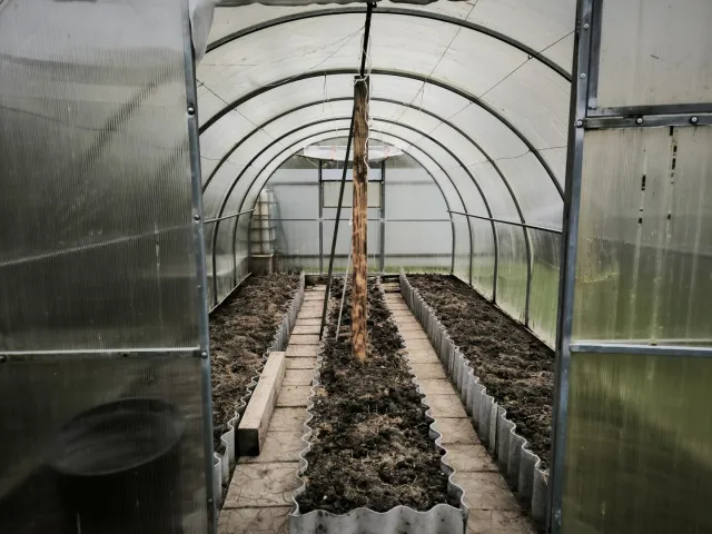 Участок 400 соток Сосновка снт Сиреневая ул. (фото 24 из 40)