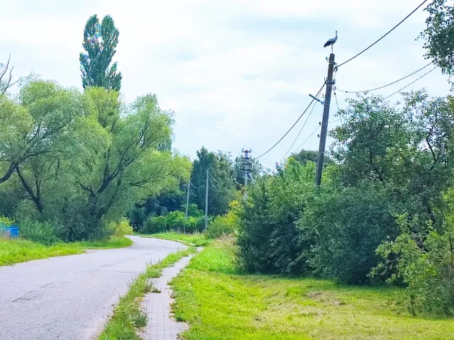 Участок 11 соток Моховое п. Дорожная ул. (фото 2 из 17)