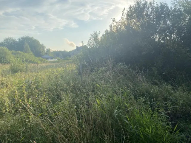 Участок 6 соток  СНТ Сосновка 