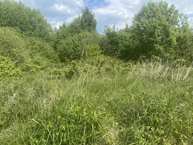 Участок 6 <span>соток</span>  СНТ Сосновка 