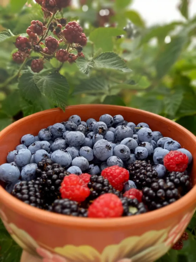 Дом 76 кв.м. Калининград г., 1, к А (фото 25 из 25)