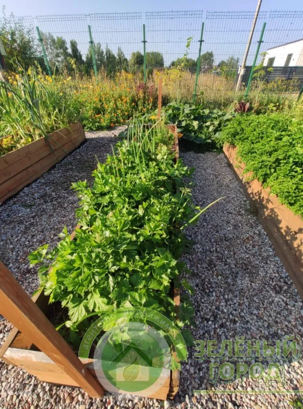 Дом 313 кв.м. Кузнецкое п., Петровская ул., 28