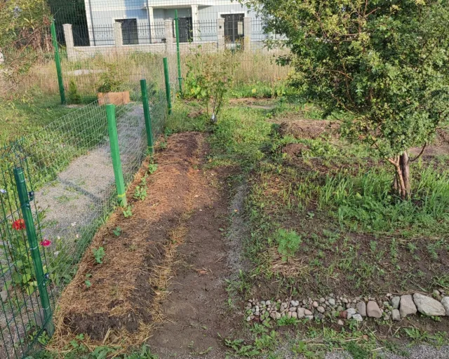 Дом 313 кв.м. Кузнецкое п., Петровская ул., 28