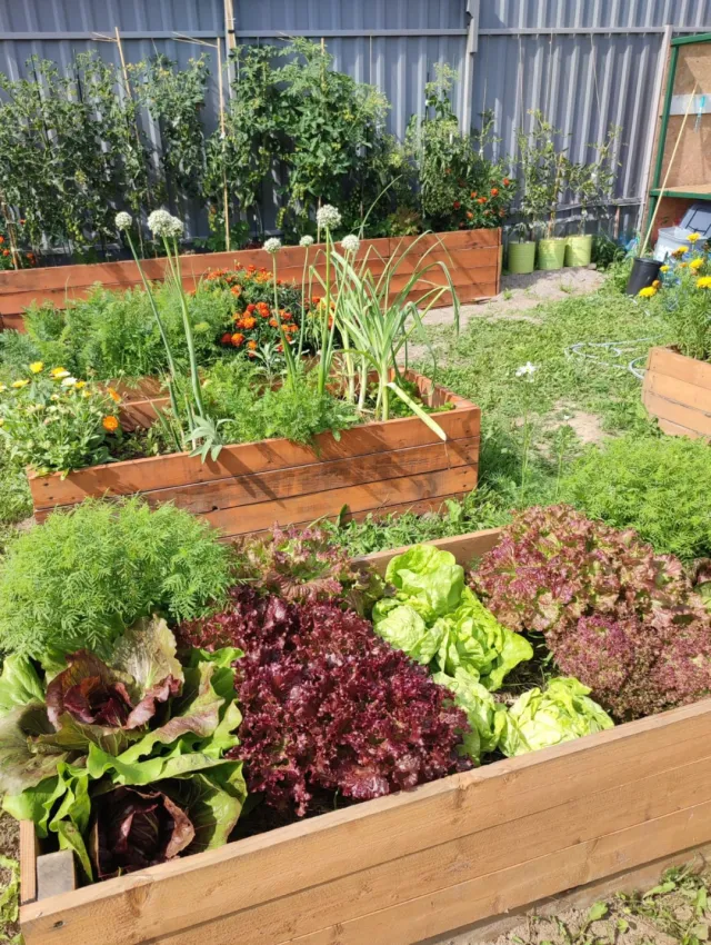 Дом 313 кв.м. Кузнецкое п., Петровская ул., 28