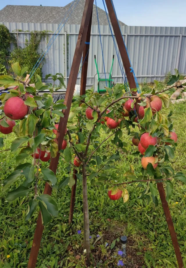 Дом 313 кв.м. Кузнецкое п., Петровская ул., 28