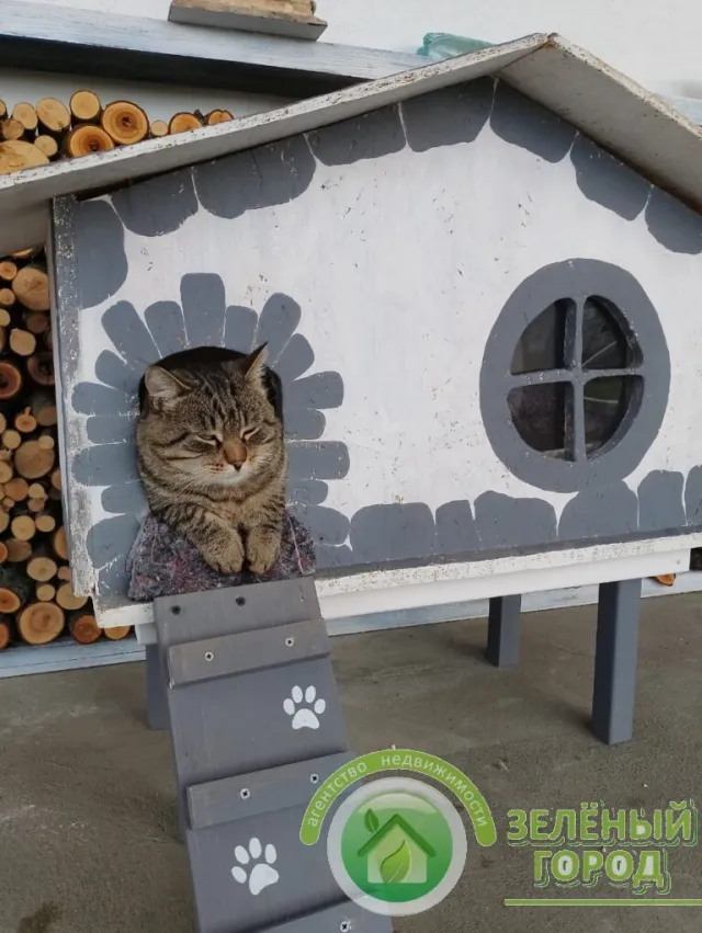 Дом 313 кв.м. Кузнецкое п., Петровская ул., 28