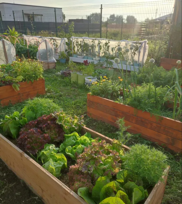 Дом 313 кв.м. Кузнецкое п., Петровская ул., 28