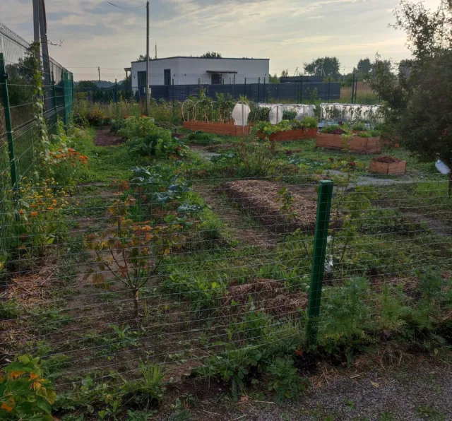 Дом 313 кв.м. Кузнецкое п., Петровская ул., 28