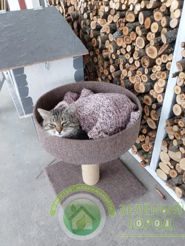 Дом 313 кв.м. Кузнецкое п., Петровская ул., 28