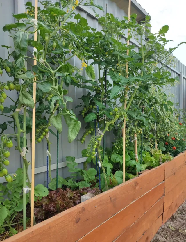 Дом 313 кв.м. Кузнецкое п., Петровская ул., 28