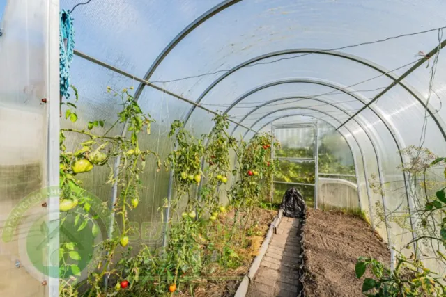 Дом 26 кв.м. Ольшанское снт,