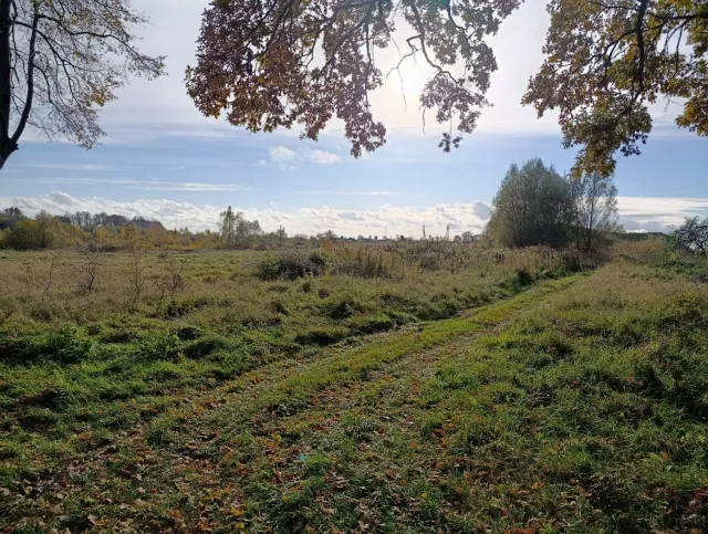 Дом 32 кв.м. Сазановка п., Вишневая ул.