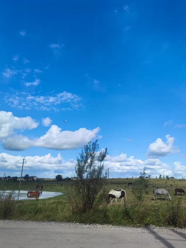 Таунхаус 80 кв.м. Авангардное п., 