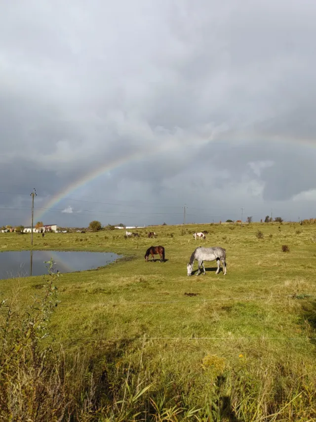 Таунхаус 80 кв.м. Авангардное п., 