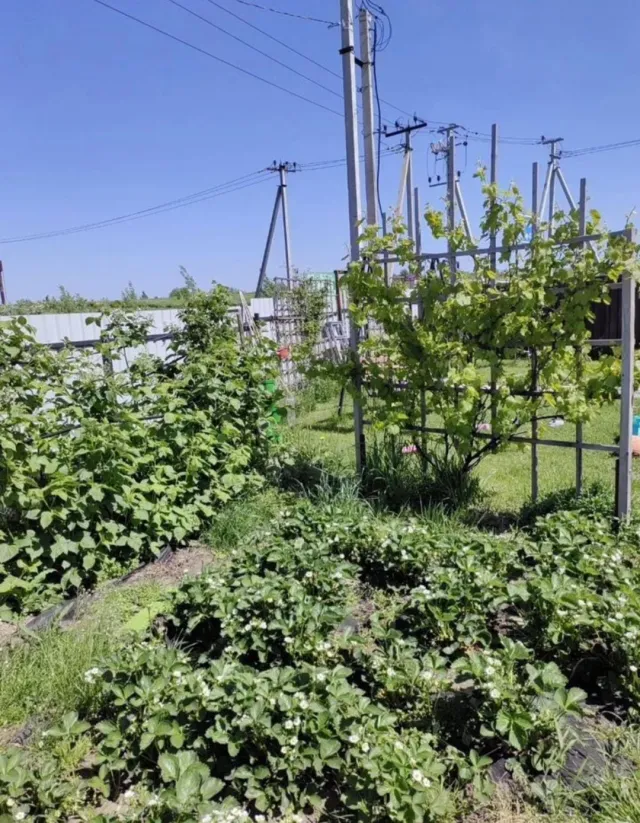 Таунхаус 80 кв.м. Авангардное п., 