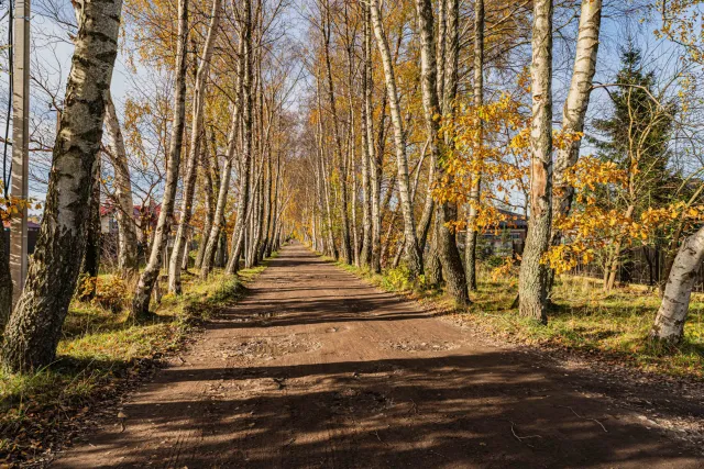 Дом 100 кв.м. Горбатовка п., Одуванчика пер.