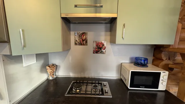 Дом 100 кв.м. Заостровье п., Сказочный пер., 1