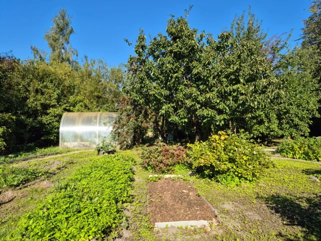 Дом 85 кв.м. Заостровье тер. СНТ,  (фото 25 из 33)